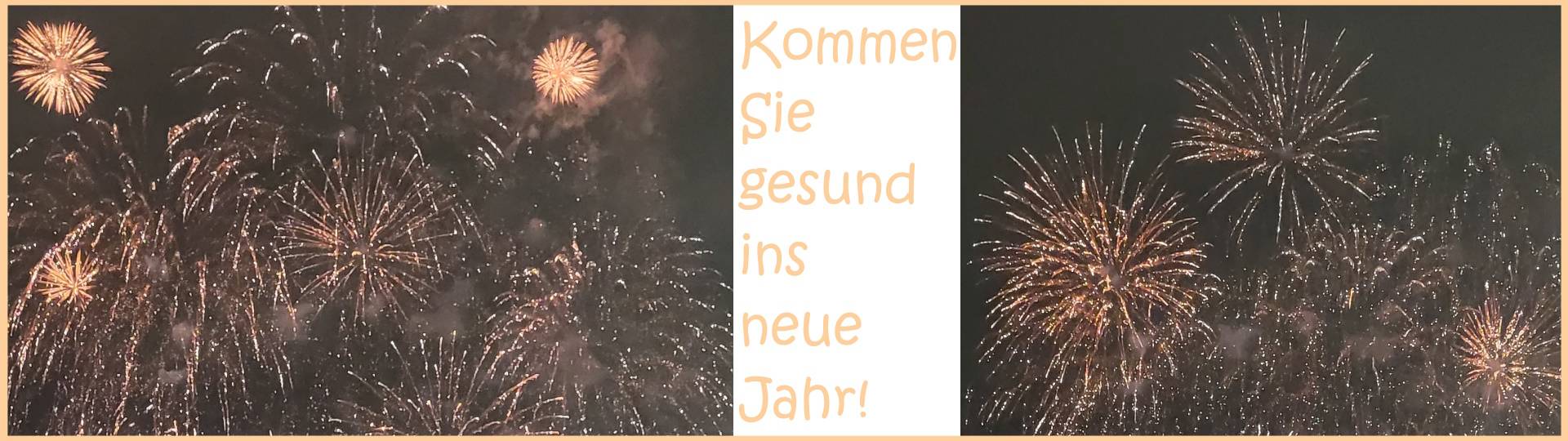 silvester kommen sie gesund ins neue jahr