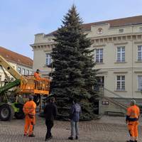 2024 aufstellung weihnachtsbaum vorm rathaus