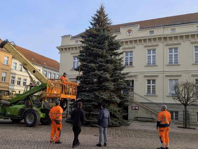 2024 aufstellung weihnachtsbaum vorm rathaus